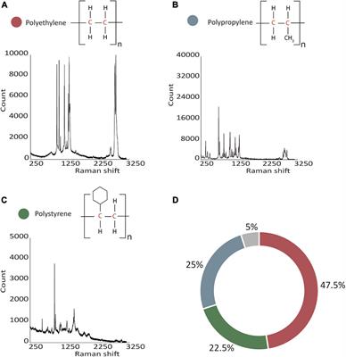 Microbial Communities on Plastic Polymers in the Mediterranean Sea